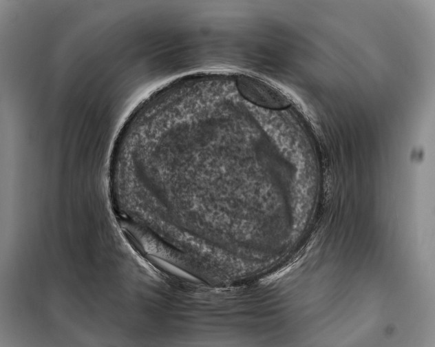 X0000098221327200805151307