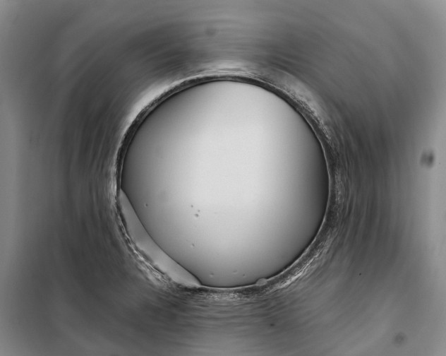 X0000098221328200805151307