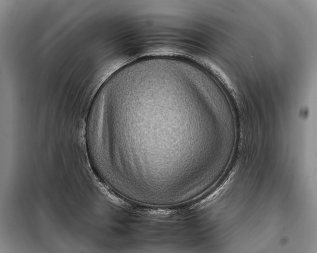 X0000098221329200805151307