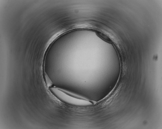 X0000098221330200805151307