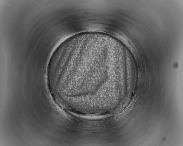 X0000098221331200805151307