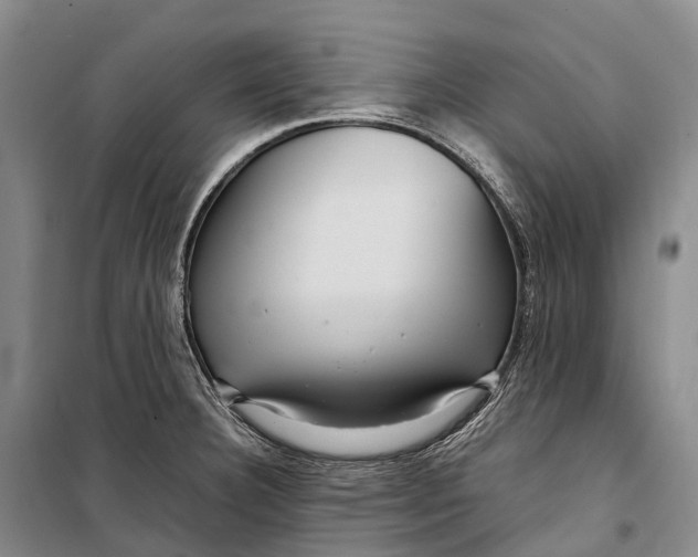 X0000098221332200805151307