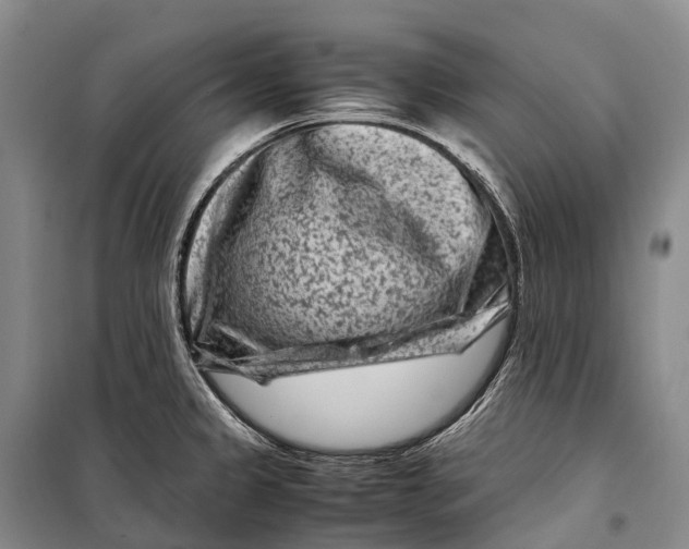 X0000098221333200805151307