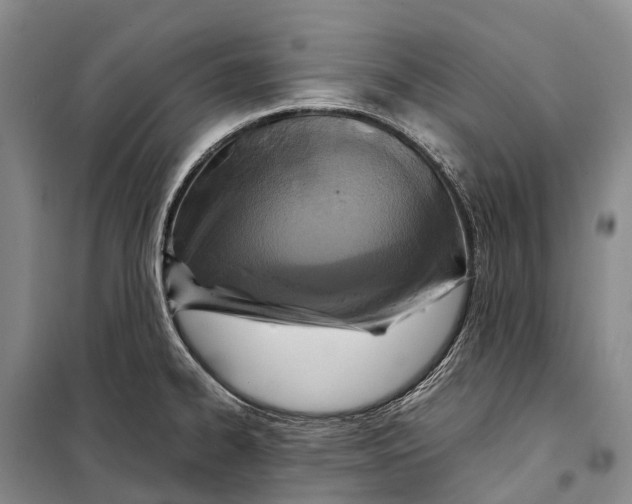 X0000098221334200805151307