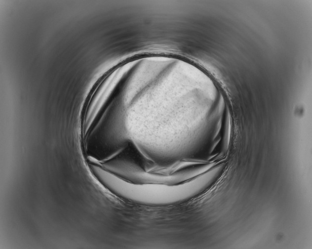 X0000098221335200805151308