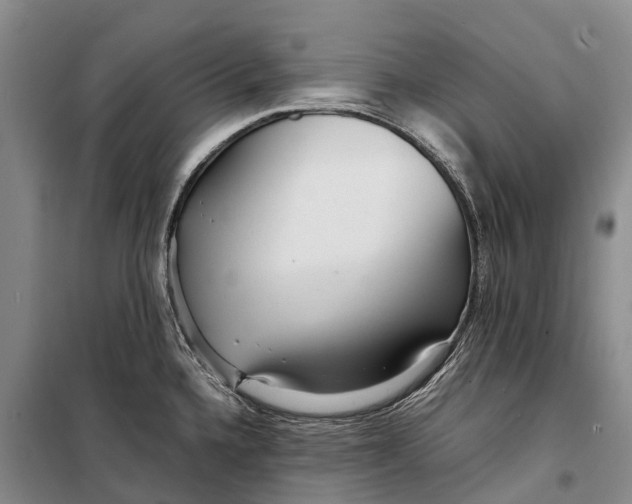 X0000098221336200805151308