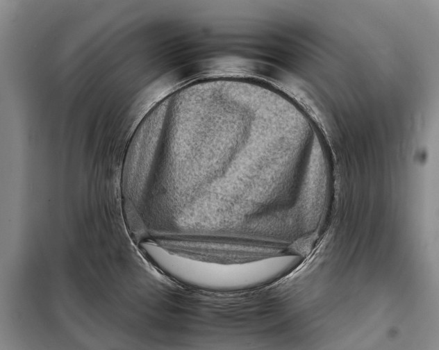 X0000098221337200805151308