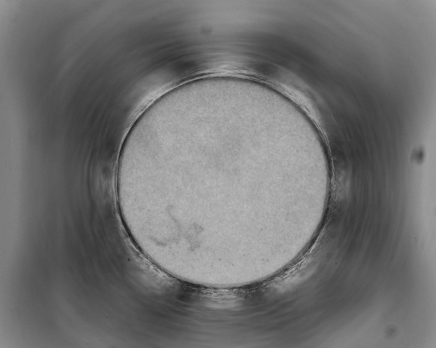 X0000098221338200805151308