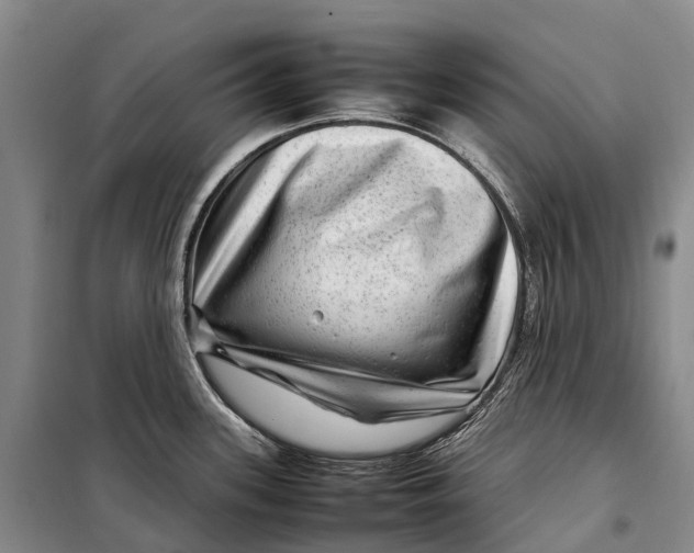 X0000098221339200805151308