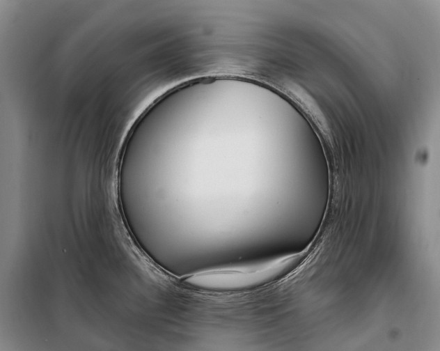 X0000098221340200805151308