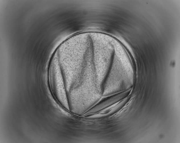 X0000098221341200805151308