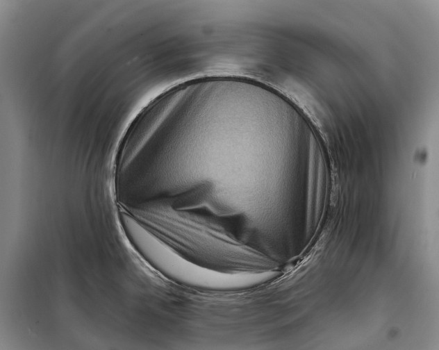 X0000098221342200805151308