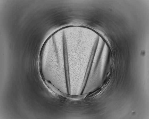 X0000098221343200805151308