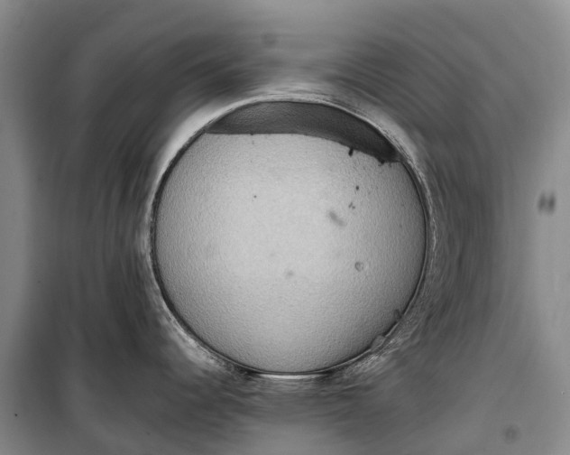 X0000098221344200805151308