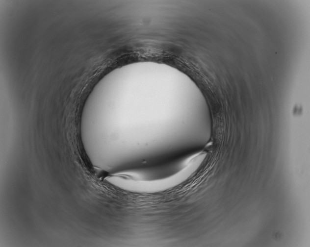 X0000098221345200805151307