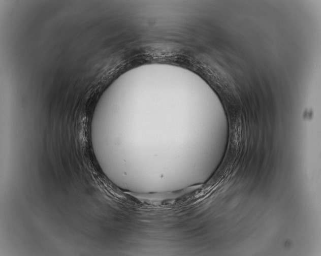 X0000098221346200805151307