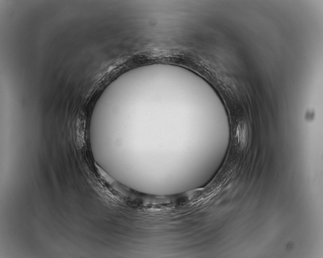 X0000098221348200805151307