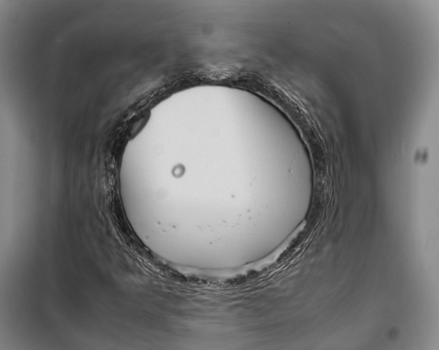 X0000098221349200805151307