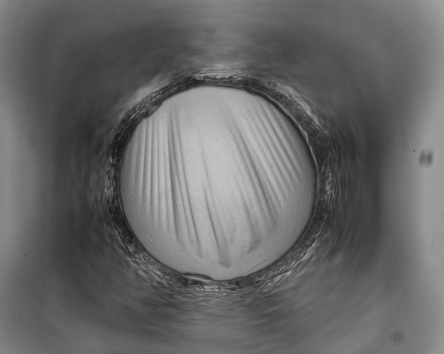 X0000098221350200805151307