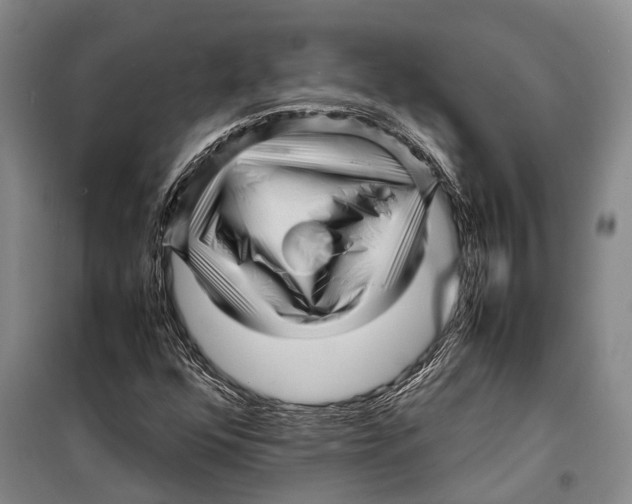 X0000098221352200805151307