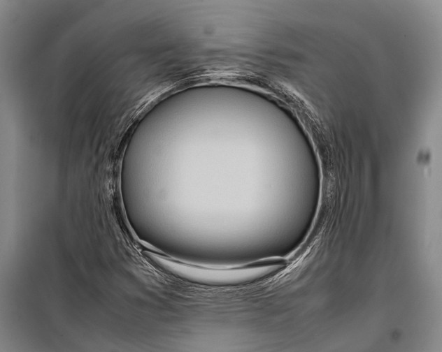 X0000098221353200805151307