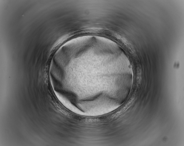 X0000098221354200805151307