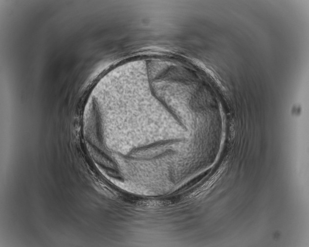 X0000098221355200805151307