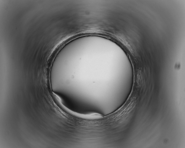 X0000098221356200805151307