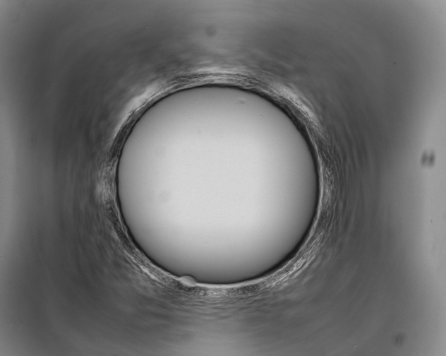 X0000098221357200805151307