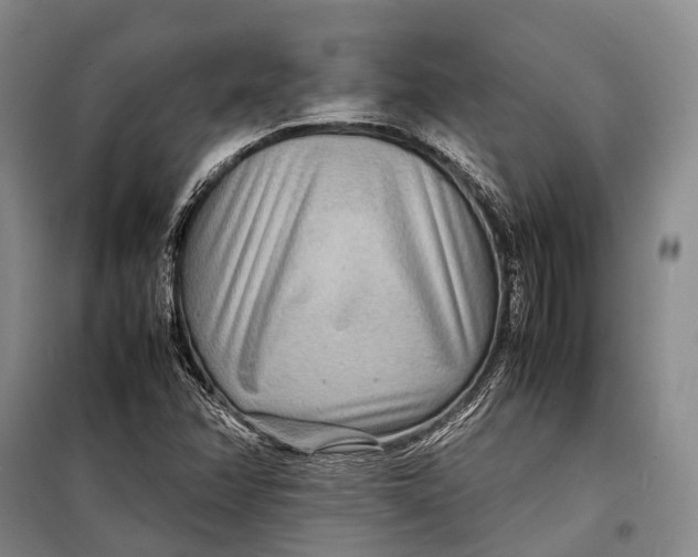 X0000098221358200805151307