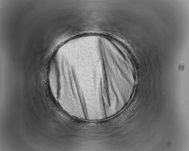 X0000098221359200805151307