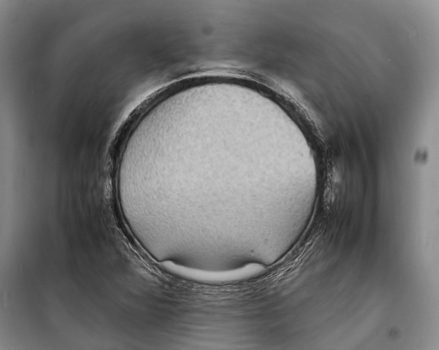 X0000098221360200805151307