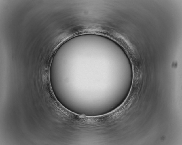 X0000098221361200805151307