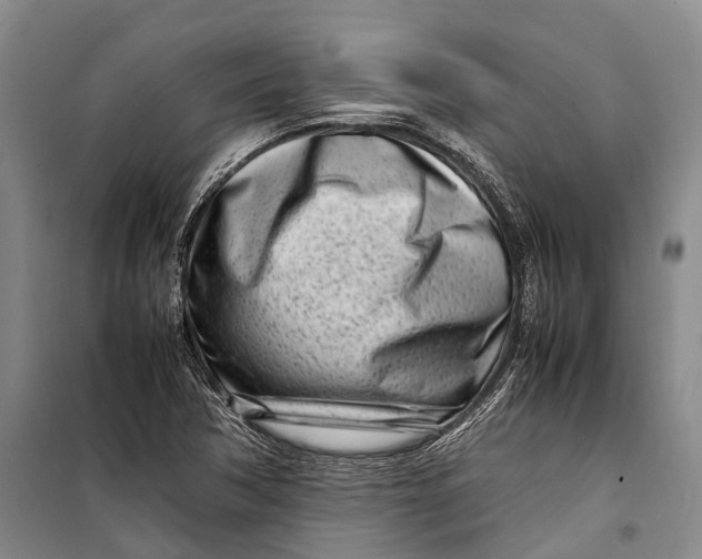 X0000098221362200805151307