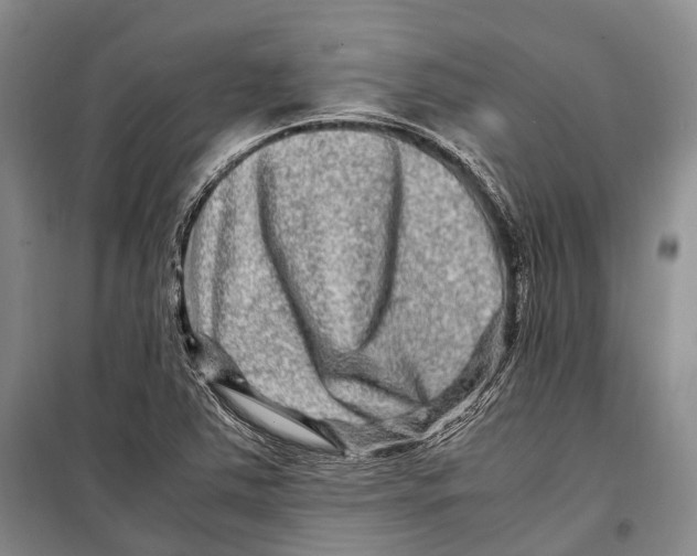 X0000098221363200805151307