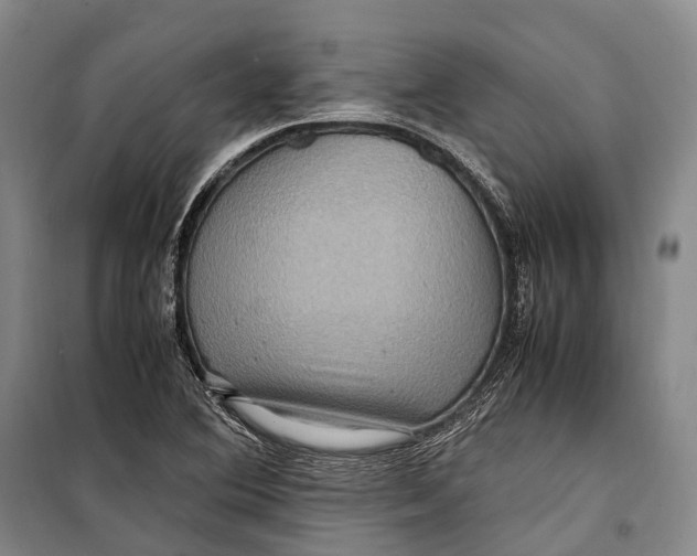 X0000098221364200805151307