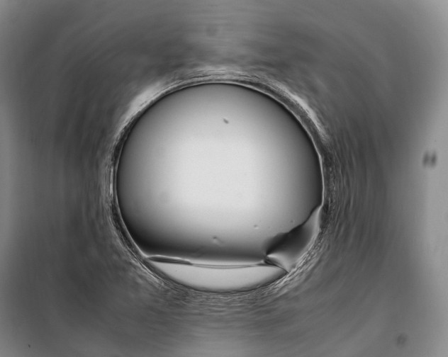 X0000098221365200805151307