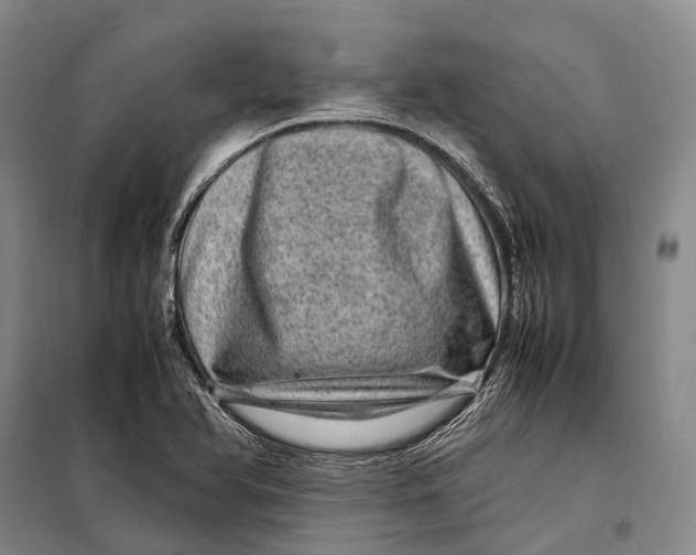 X0000098221366200805151307