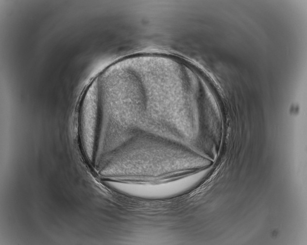 X0000098221367200805151307