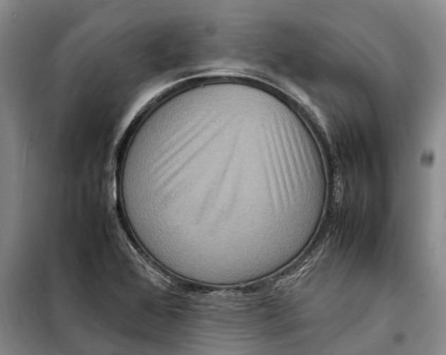 X0000098221368200805151307