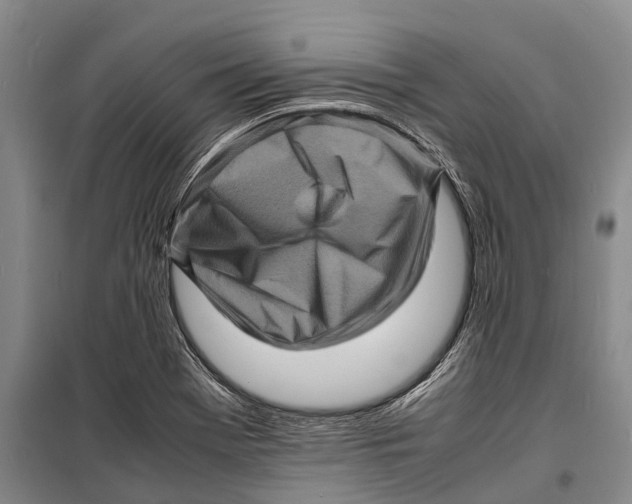 X0000098221369200805151307