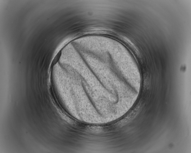 X0000098221370200805151307