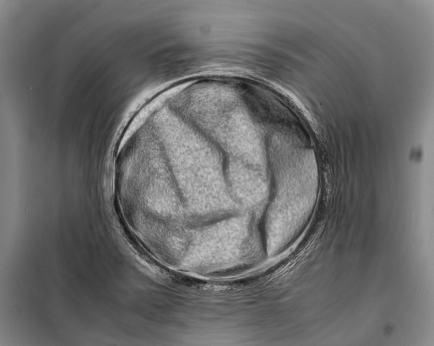 X0000098221371200805151307