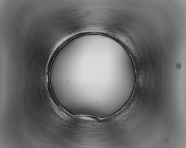 X0000098221372200805151307