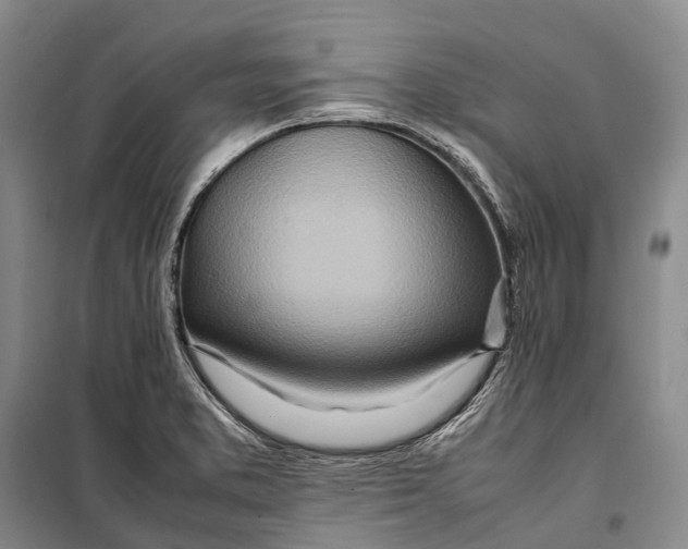 X0000098221373200805151307