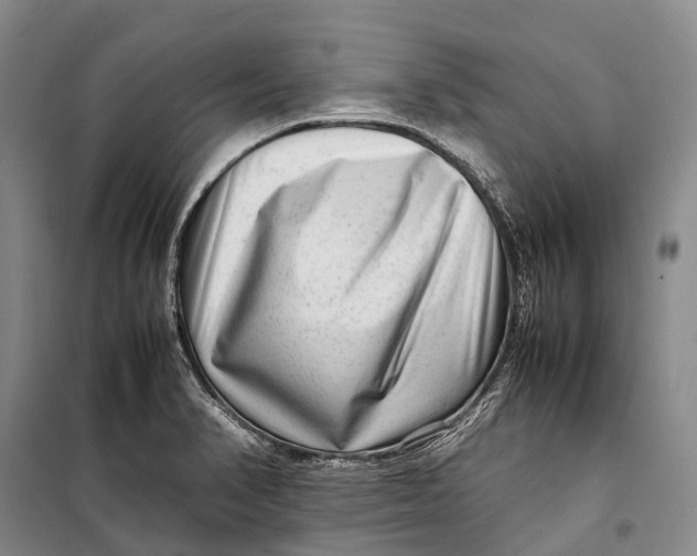 X0000098221374200805151307