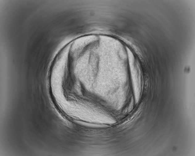 X0000098221375200805151307