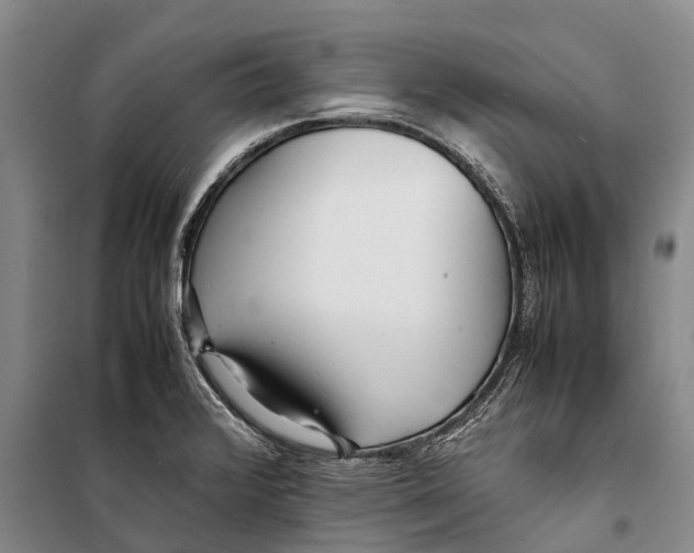 X0000098221376200805151307