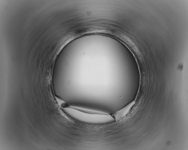 X0000098221377200805151307