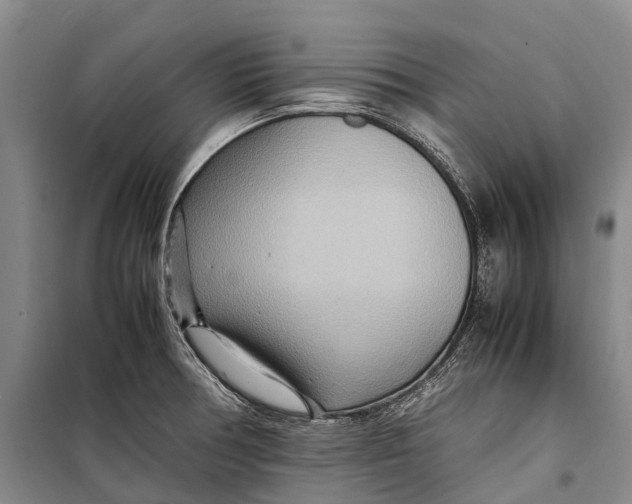 X0000098221378200805151306